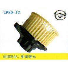 LP30-12 皮卡、面包車 汽車暖風(fēng)電機(jī)